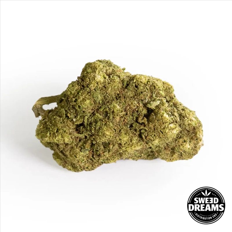 Flor de CBD Honey Cheese de cultivo glasshouse