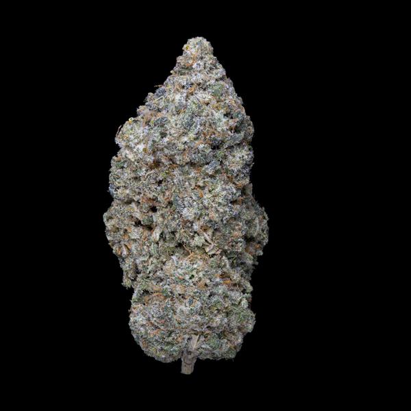 LEGENDARY SKUNK