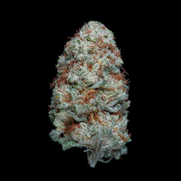 WHITE RUSSIAN CBG