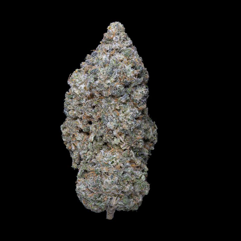 LEGENDARY SKUNK