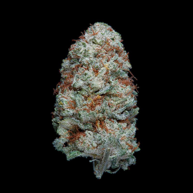 WHITE RUSSIAN CBG